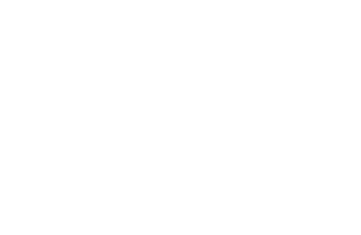 next-icon